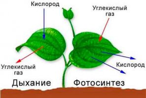 12 вопросов, на которые будет интересно узнать ответы