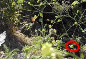 7 экспериментов, которые доказывают, как мало мы о себе знаем