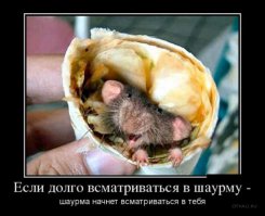 Опасности уличной еды в Азии и Африке