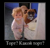 20 животных, которых можно только понять и простить 