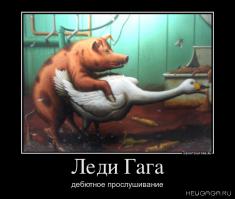 Фишкина солянка за 20.05.2014