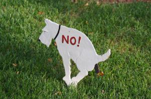 Озеленение балкона 