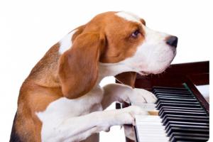 Мадам Гольдберг звонит друзьям и приглашает всех на обед:
- Обязательно приходите к нам. Вы так давно у нас не были. У нас сейчас такой пес живет, его выучили на рояле играть, это просто чудо.
Приходят гости, псина залезает на табурет, открывает рояль и начинает вдохновенно играть Шопена, потом Моцарта...
Гости все с открытыми ртами, потом кто-то тихо говорит:
- Гениальный! Гениальный пес!
Мадам Гольдберг:
- Ай! Гениальный, гениальный, а в медицинском провалился.﻿