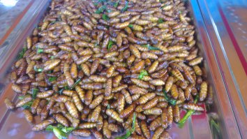 Как в Таиланде "заботятся" о русских туристах