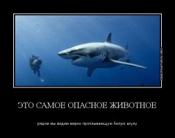 50 невероятных фактов о Земле