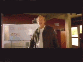 Кошки прирожденные ниндзя