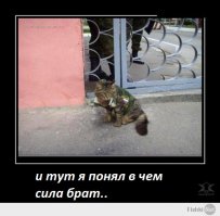 Лучшие интернет-мемы 2014 года 