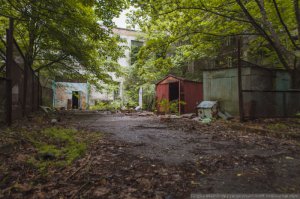 Эх...меня тут как то кровосос поймал, убил прям насмерть.