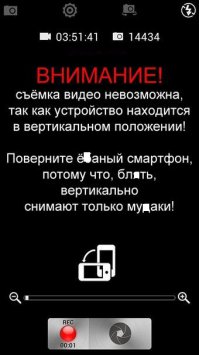 Реакция кошки на щенков