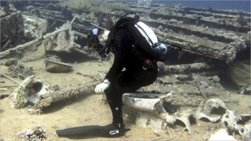 Красота подводного мира глазами дайвера