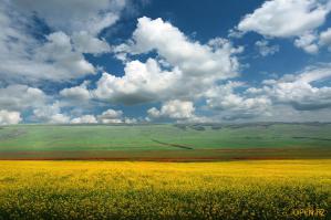 Выйду в поле, сяду ......, далеко меня видать!!!!