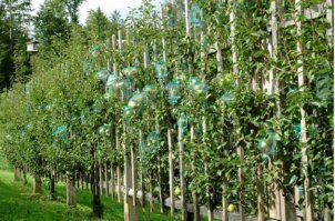 Как это делается?