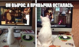 это ж сколько серий в мультфильме, что кот вырос!!???