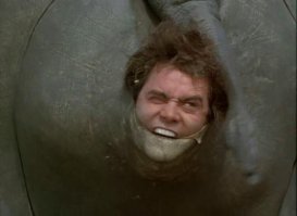 Показалось