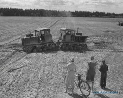 Дело было в Пенькове!