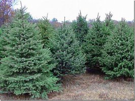 Автобренды, производящие не только автомобили