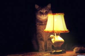 Картина маслом