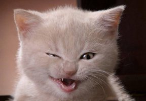 От улыбки хмурый день светлей