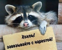 Наталья Поклонская записала новогоднее обращение к россиянам