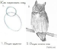 Самые крутые картины, нарисованные шариковыми ручками