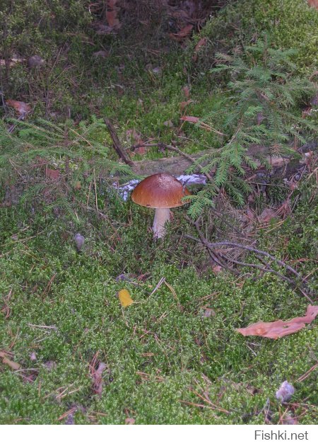 Лето, скорей бы лето!!