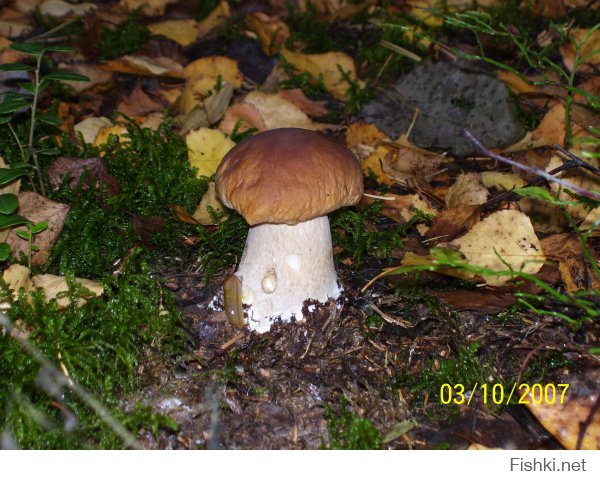 Лето, скорей бы лето!!