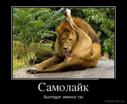 Демотиваторы