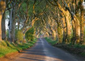 Самые удивительные дороги