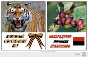 НЕ ПОЙТИ ЛИ ТЕБЕ,УКРОП,НА ХУЙ!!!!!!