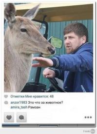 Смешные комментарии из социальных сетей 27.07.14 