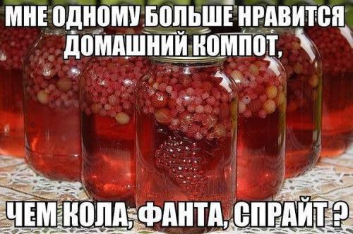 Фишкина солянка. Часть 21