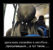 Веселые поездки в общественном транспорте