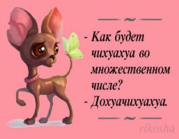 10 самых сложных языков в мире