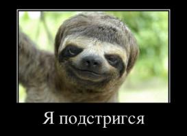 Необычные и странные прически 