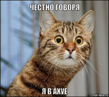 Самые крутые картины, нарисованные шариковыми ручками