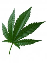 Понятно всё!