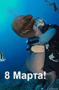 Фотоподборка за 28.05.2014