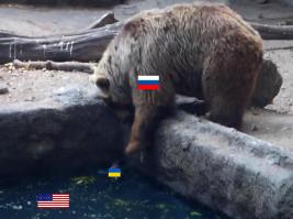 Мишка спасает тонущую ворону