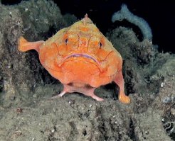 Даа...очень интересно!