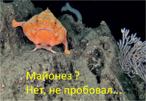 Как в СССР появился майонез?