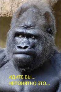 Что тут происходит?