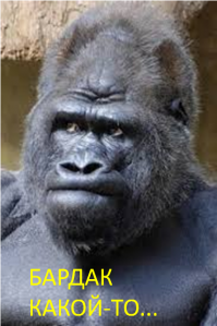 Как львы делают это