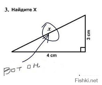 Короткий неврологический тест( без помощи курсора)