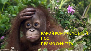 Увеличиваем словарный запас