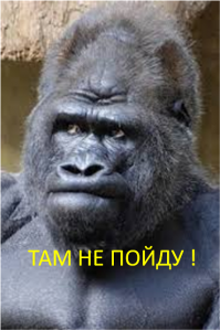 Эти сладкие "50 оттенков серого"