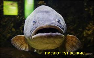 Признаки быдла