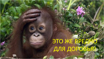 Накурили обезьяну