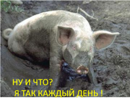 Грязевая вечеринка в Бразилии