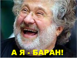 30 очаровательных и эпических фотографий овец