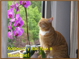 Города России. Тамбов (набережная реки Цна)